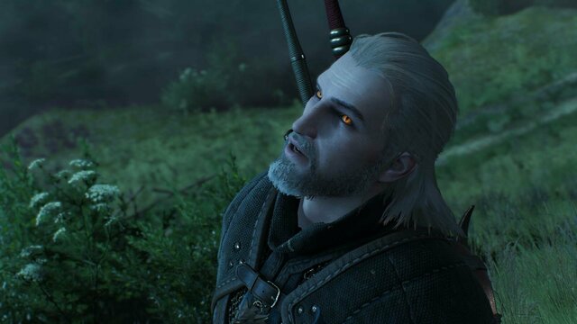 witcher3 2021-12-24 01-45-12-68.jpg