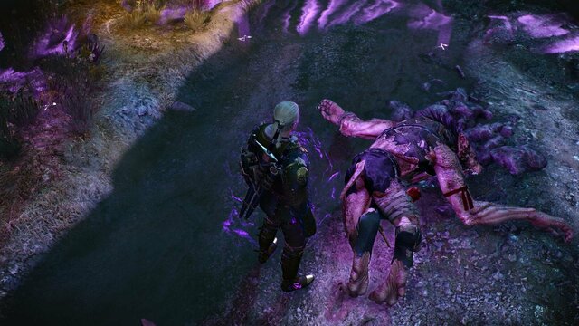 witcher3 2022-01-16 22-03-03-70.jpg