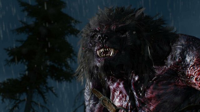 witcher3 2022-01-04 21-22-01-60.jpg