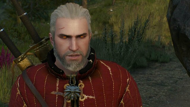 witcher3 2022-01-04 21-07-05-12.jpg