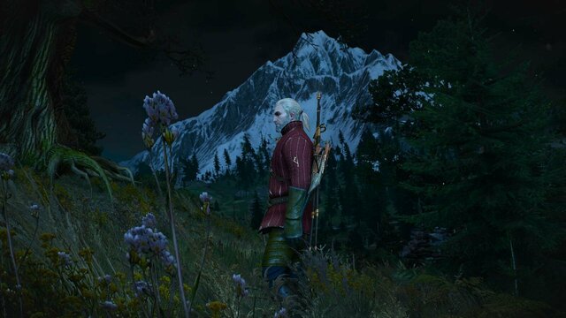 witcher3 2022-01-04 20-47-49-51.jpg