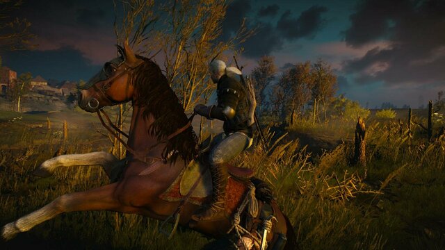 witcher3 2021-12-24 22-05-15-20.jpg