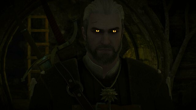 witcher3 2021-12-26 02-15-45-46.jpg