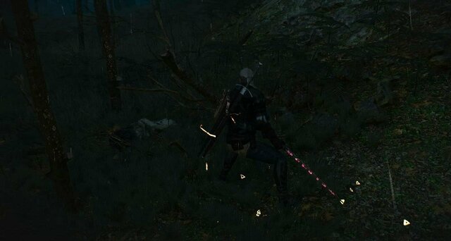 witcher3 2021-12-25 21-54-05-85.jpg