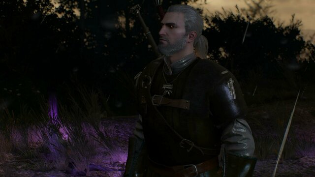 witcher3 2021-12-28 19-27-54-74.jpg