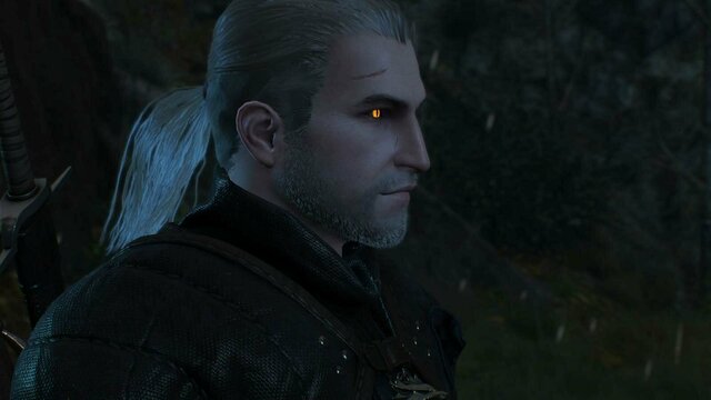 witcher3 2021-12-25 22-11-36-53.jpg