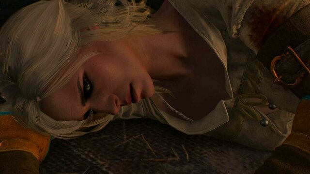 witcher3 2021-12-25 22-29-37-36.jpg