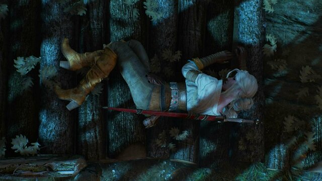 witcher3 2021-12-25 22-28-19-22.jpg