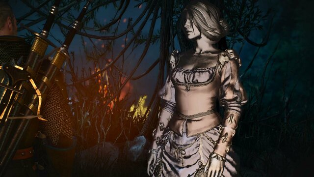 witcher3 2022-01-24 00-02-10-14.jpg