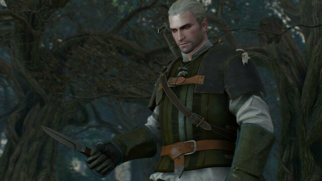 witcher3 2021-12-29 00-31-59-71.jpg