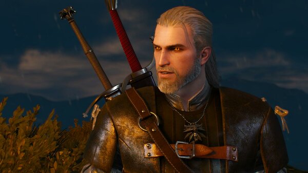 РАЗНЫЙ ГЕРАЛЬТ. Много. ;) Ведьмак III