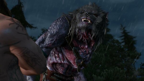 ВОЛКОЛАК или вервольф.. Ведьмак III