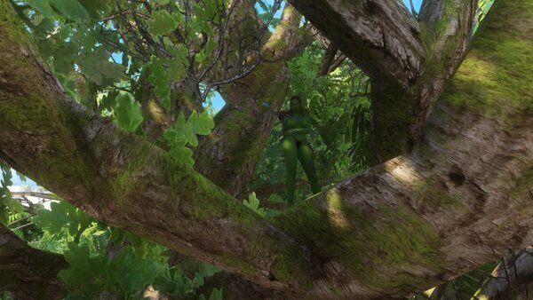 TESV Аори в поисках припасов