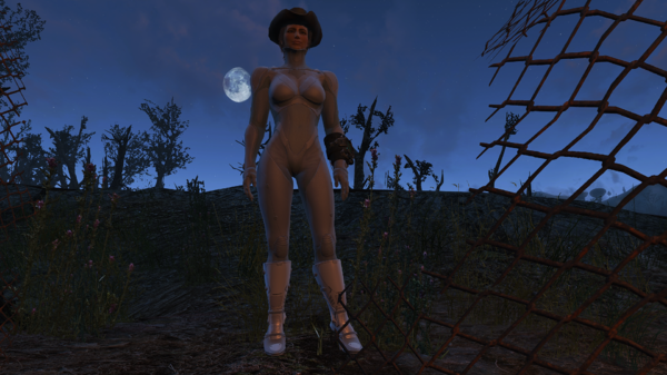 Fallout4 2022-01-14 22-25-48.png