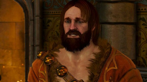 Воины мира Ведьмак III