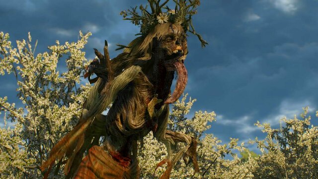 witcher3 2022-01-11 20-52-22-31.jpg