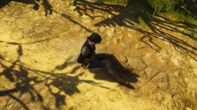 witcher3 2022-02-11 00-01-55-13.jpg