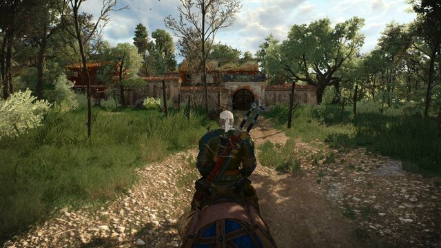 witcher3 2022-01-15 00-30-23-99.jpg