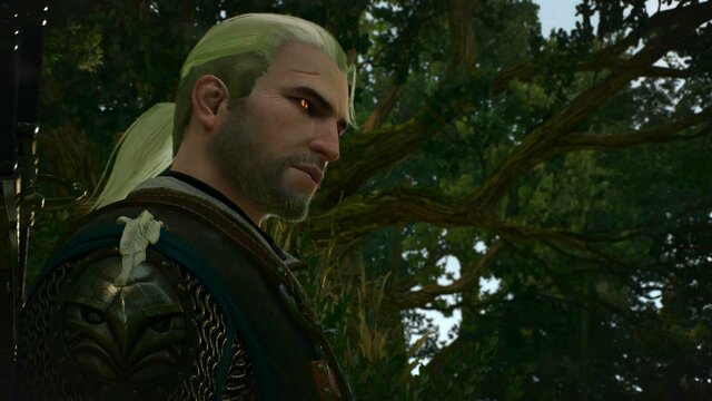 witcher3 2022-01-10 23-50-34-50.jpg