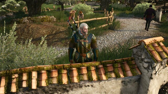 witcher3 2022-01-15 23-33-51-41.jpg