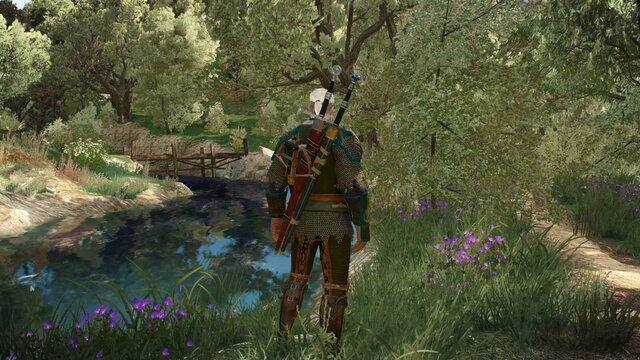 witcher3 2022-01-15 19-17-52-90.jpg