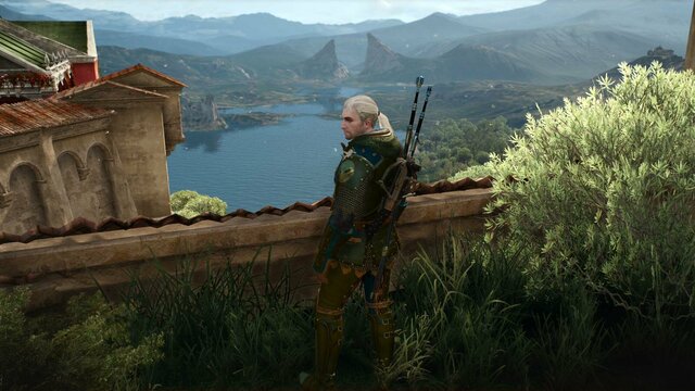 witcher3 2022-02-01 21-51-28-18.jpg