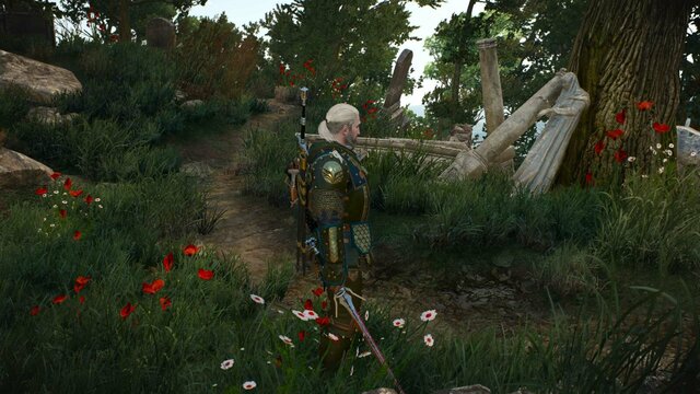 witcher3 2022-02-06 22-07-39-76.jpg