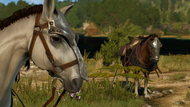 witcher3 2022-01-25 22-50-36-80.jpg