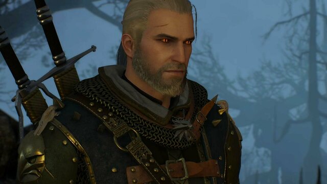witcher3 2022-01-19 22-06-57-78.jpg