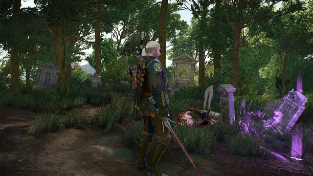 witcher3 2022-02-06 22-05-11-31.jpg