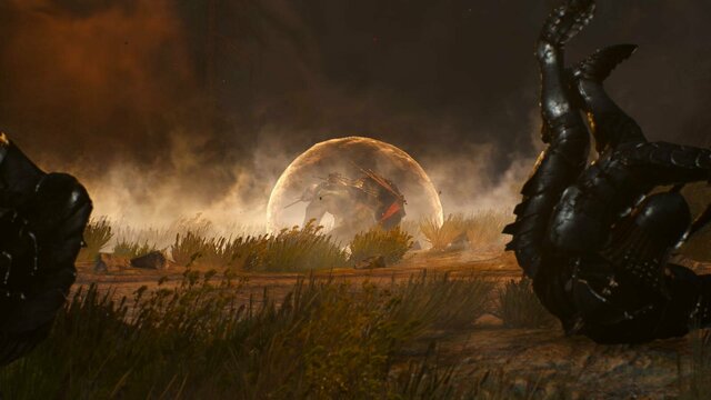 witcher3 2022-01-19 23-01-54-60.jpg