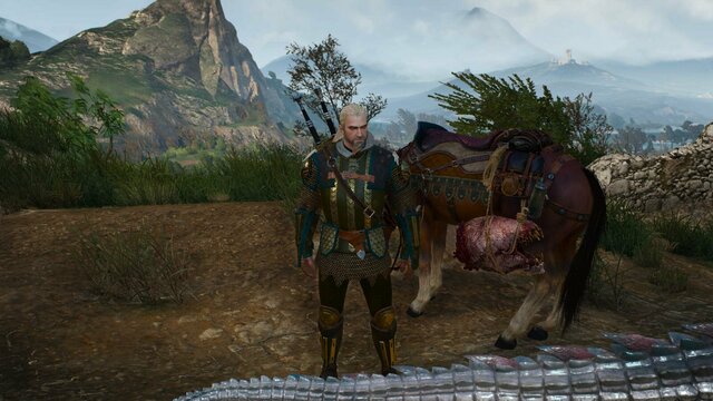 witcher3 2022-01-11 01-30-46-77.jpg