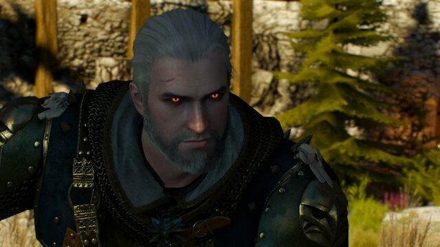 witcher3 2022-01-19 23-37-36-88.jpg