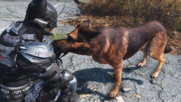 Fallout4 дружок