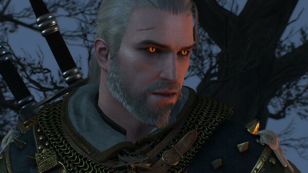 ГЕРАЛЬТ.. Ведьмак III