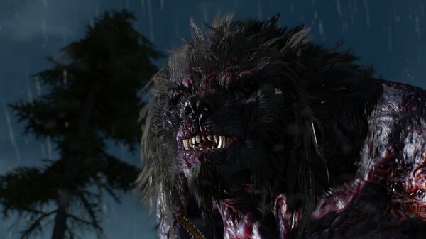 ВОЛКОЛАК, или монстры мира Ведьмак III