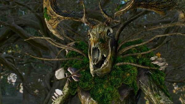 ЛЕШИЙ, или монстры мира Ведьмак III