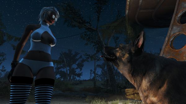 Fallout4 дружок