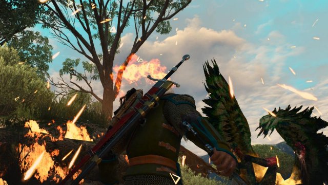 witcher3 2022-01-15 18-19-51-96.jpg