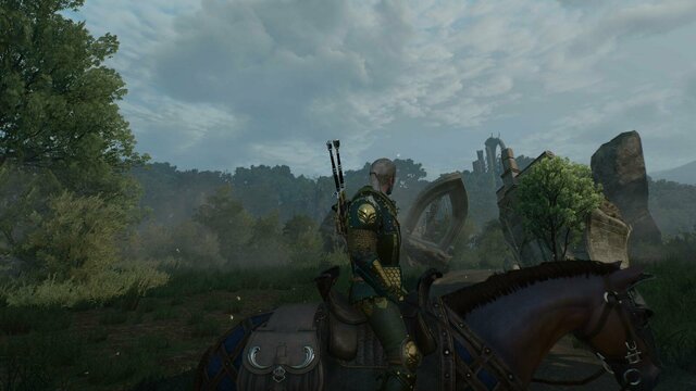 witcher3 2022-02-09 23-19-16-89.jpg