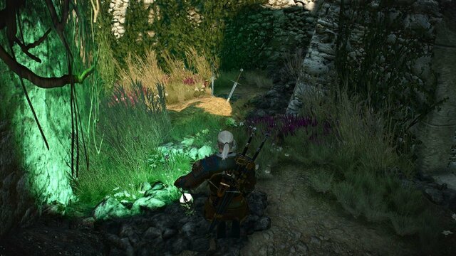 witcher3 2022-01-13 22-15-29-26.jpg