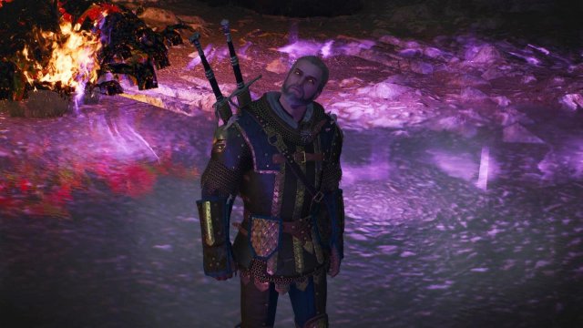 witcher3 2022-01-16 00-12-26-53.jpg