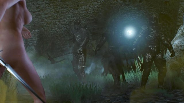 witcher3 2022-01-19 23-09-31-41.jpg