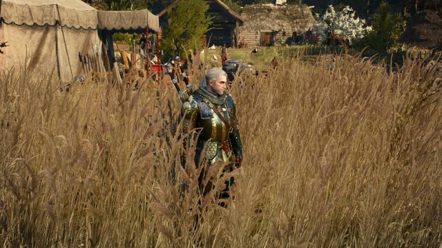 witcher3 2022-01-17 00-26-55-38.jpg