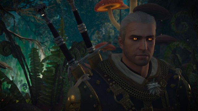 witcher3 2022-02-10 22-36-39-43.jpg