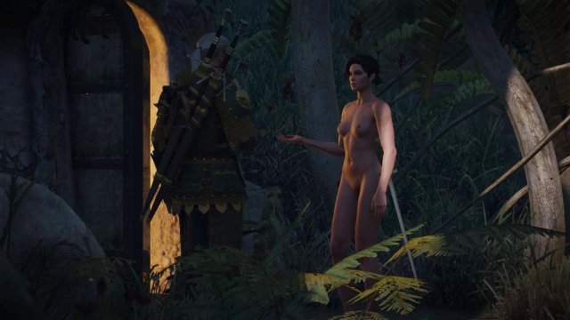 witcher3 2022-02-10 23-01-22-46.jpg