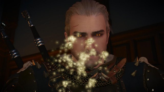 witcher3 2022-02-10 22-36-11-34.jpg