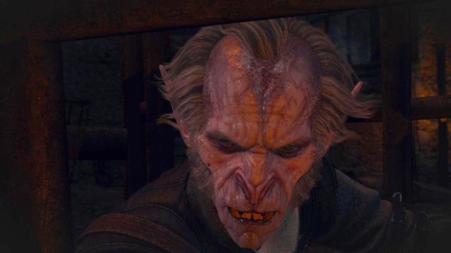 witcher3 2022-02-09 23-42-10-57.jpg