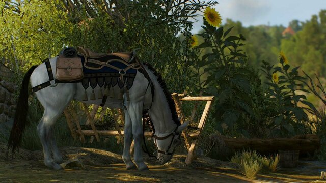 witcher3 2022-01-25 22-47-57-44.jpg