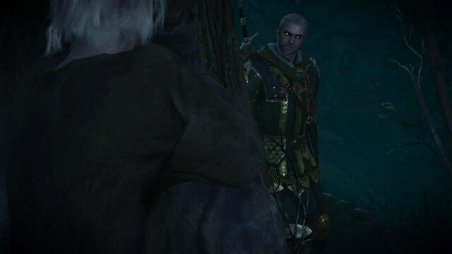 witcher3 2022-02-07 21-55-23-67.jpg